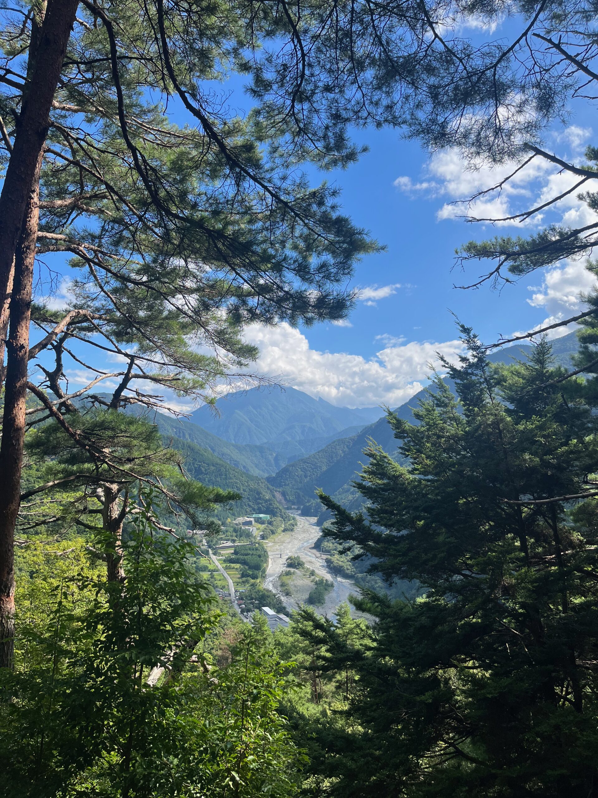 写真①健康相談に向かう道中から見える景色