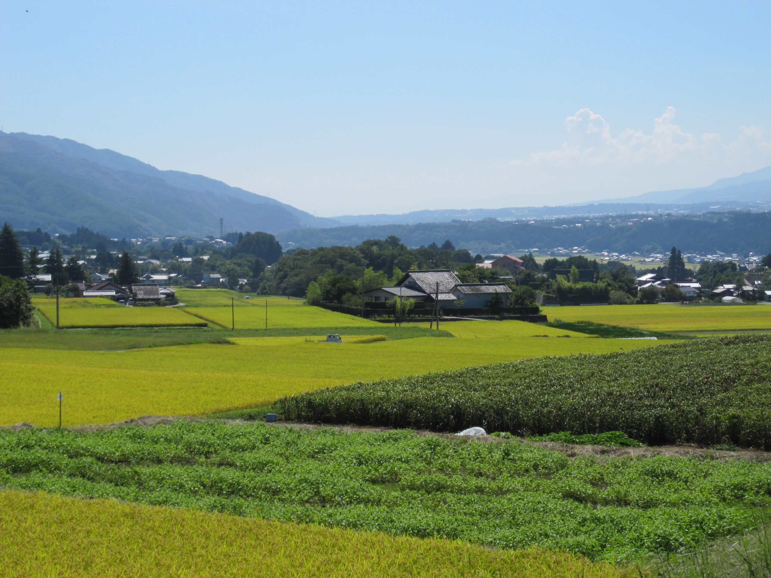 画像(農村風景）